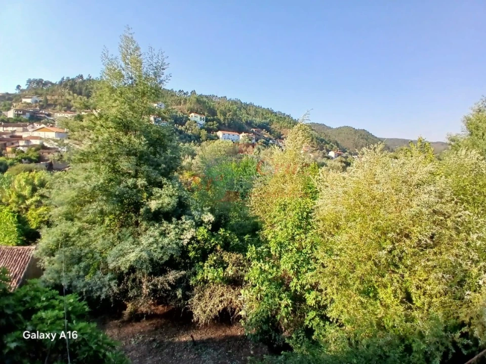 Moradia T2 para Venda em Semide e Rio Vide Foto 3