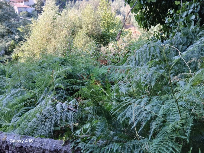 Moradia T2 para Venda em Semide e Rio Vide Foto 14