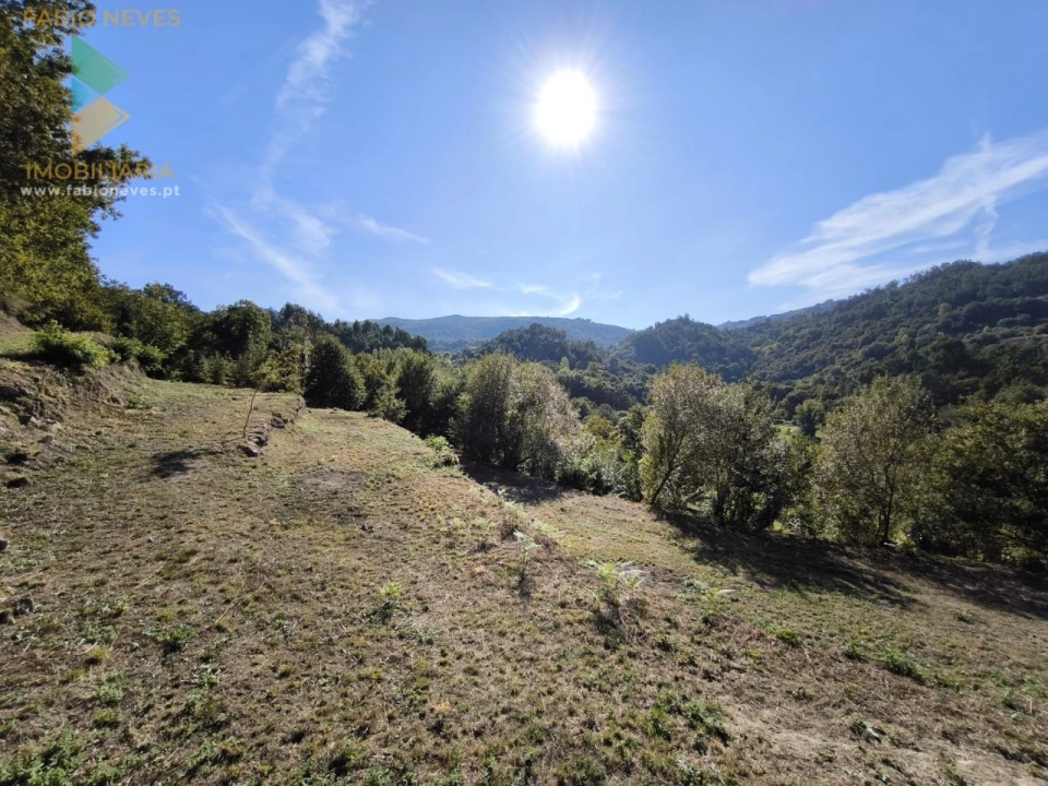 Moradia T2 para Venda em Crasto, Ruivos e Grovelas Foto 16