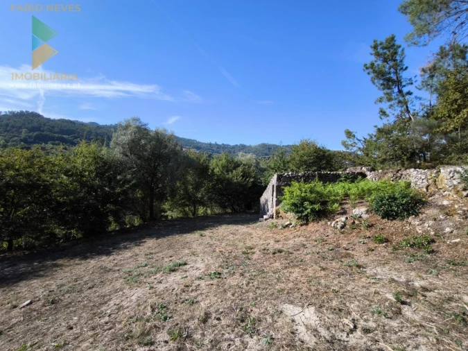 Moradia T2 para Venda em Crasto, Ruivos e Grovelas Foto 4