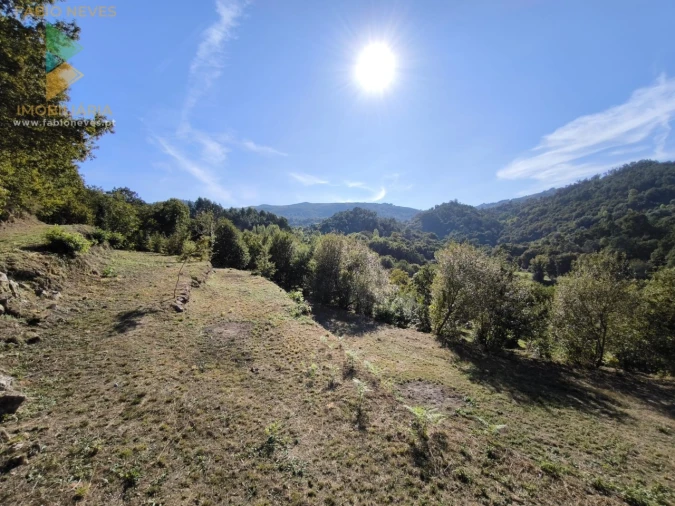 Moradia T2 para Venda em Crasto, Ruivos e Grovelas Foto 18