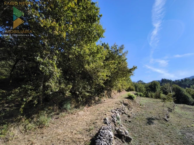 Moradia T2 para Venda em Crasto, Ruivos e Grovelas Foto 20