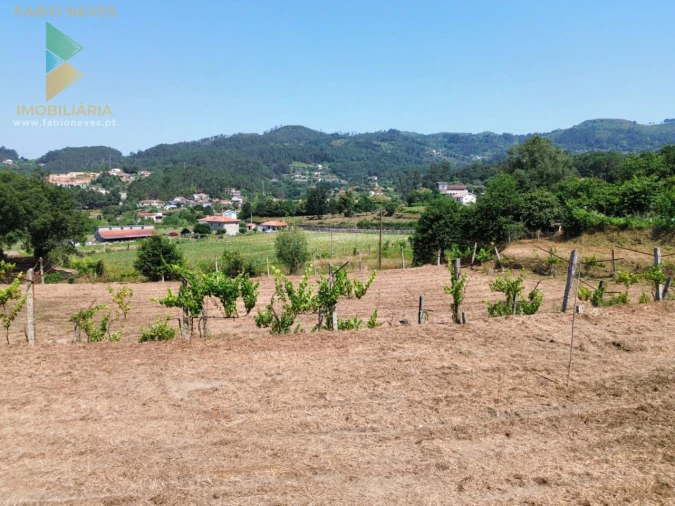 Terreno para Venda em Vale Foto 4