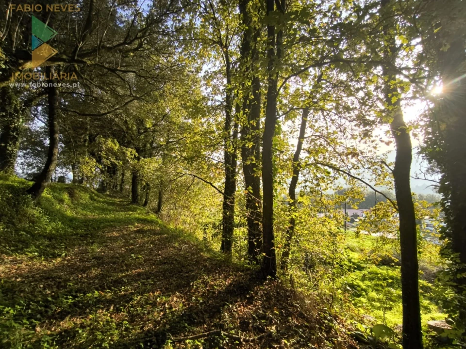 Terreno para Venda em Vilela, São Cosme e São Damião e Sá Foto 3