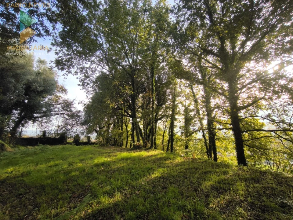 Terreno para Venda em Vilela, São Cosme e São Damião e Sá Foto 4