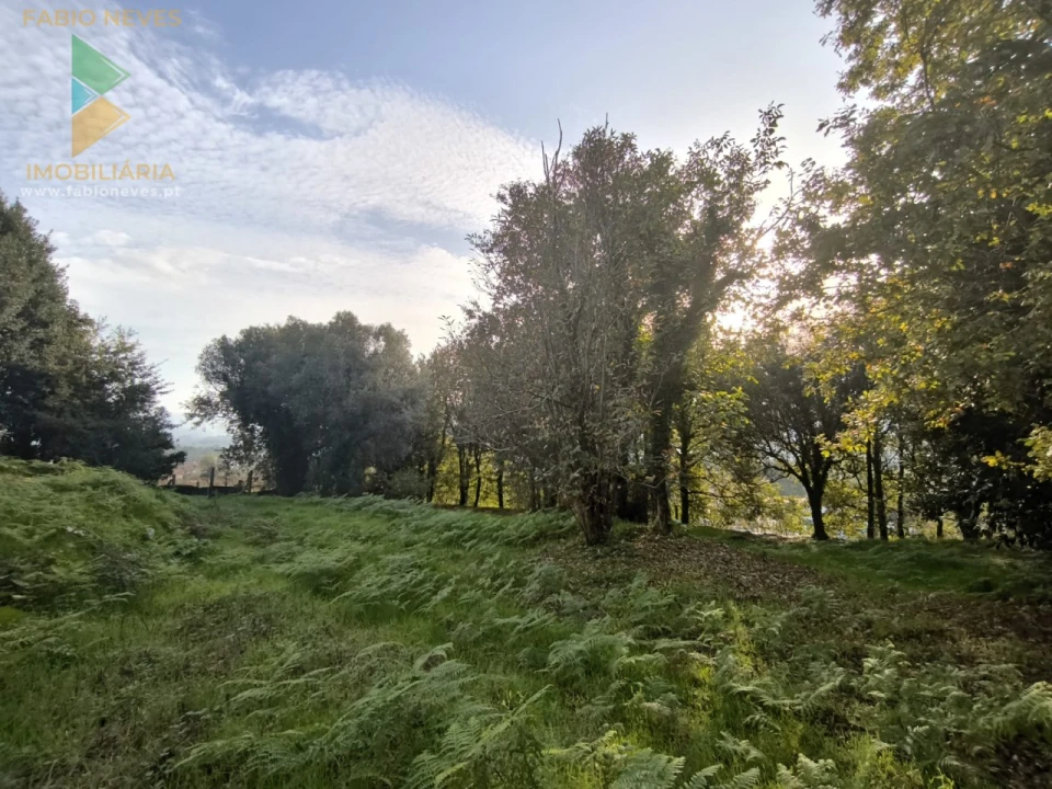 Terreno para Venda em Vilela, São Cosme e São Damião e Sá Foto 10
