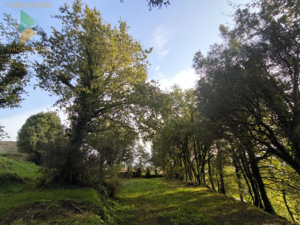 Terreno para Venda em Vilela, São Cosme e São Damião e Sá Foto 11