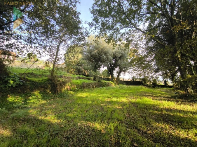 Terreno para Venda em Vilela, São Cosme e São Damião e Sá Foto 2