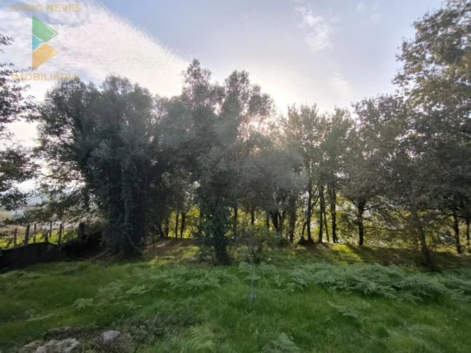 Terreno para Venda em Vilela, São Cosme e São Damião e Sá Foto 9