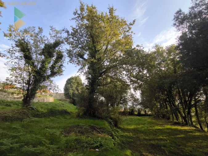 Terreno para Venda em Vilela, São Cosme e São Damião e Sá Foto 12