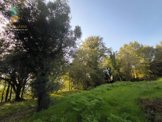 Terreno para Venda em Vilela, São Cosme e São Damião e Sá Foto 13