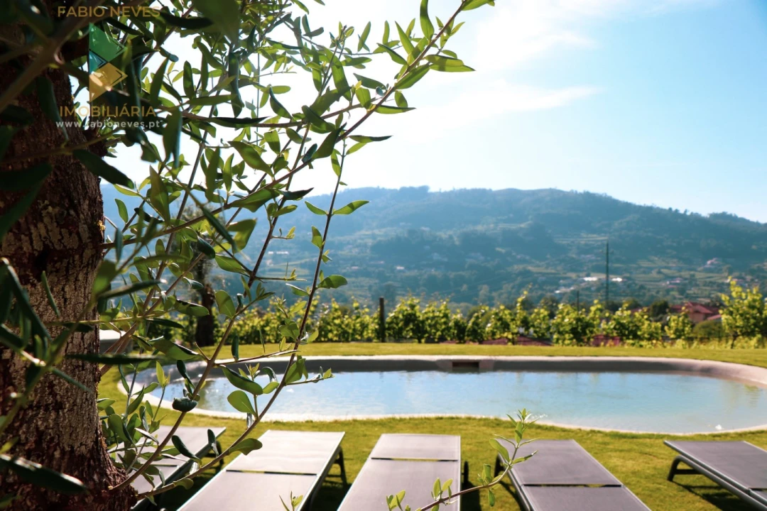 Quinta T12 para Venda em Vade (São Pedro) Foto 9