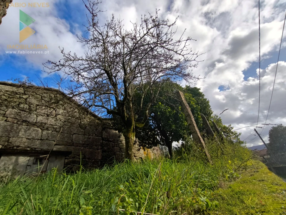Moradia T3 para Venda em São Jorge e Ermelo Foto 8