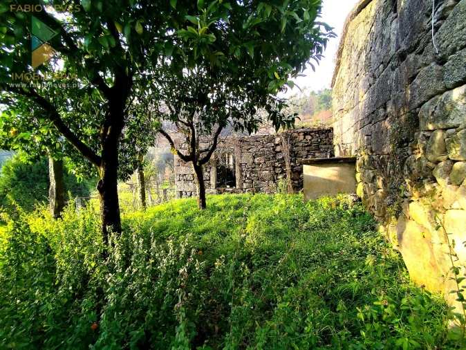 Moradia T3 para Venda em São Jorge e Ermelo Foto 5