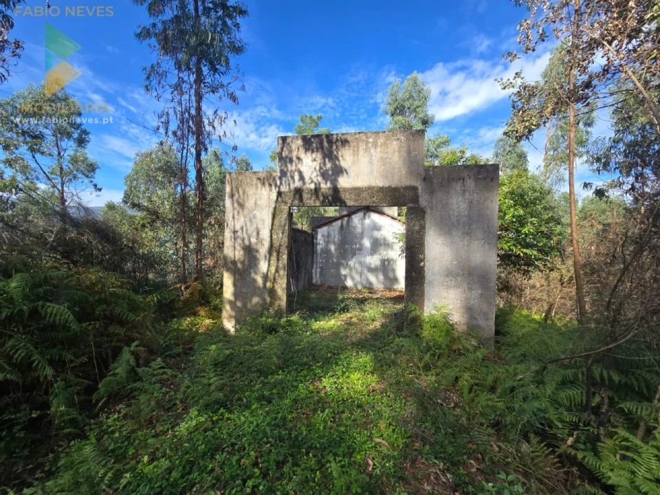 Moradia T1 para Venda em Vilela, São Cosme e São Damião e Sá Foto 2