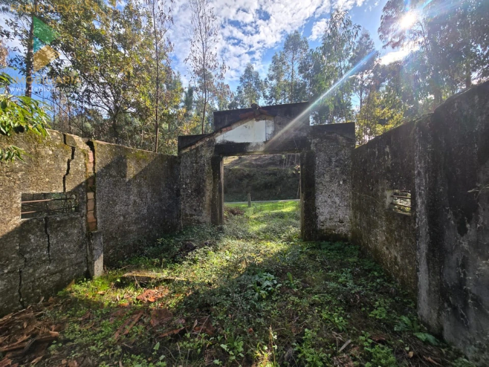 Moradia T1 para Venda em Vilela, São Cosme e São Damião e Sá Foto 3