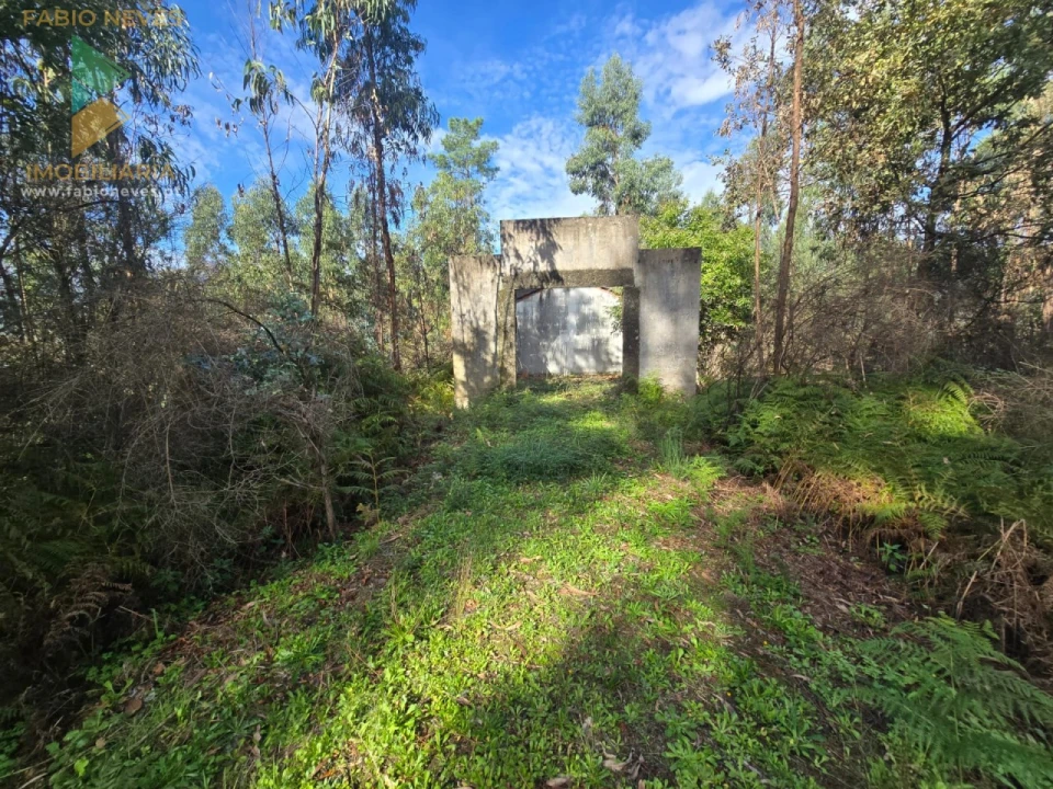 Moradia T1 para Venda em Vilela, São Cosme e São Damião e Sá Foto 8