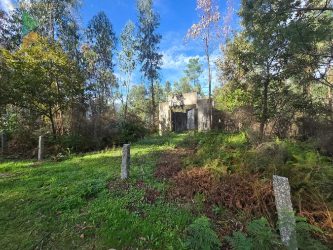 Moradia T1 para Venda em Vilela, São Cosme e São Damião e Sá Foto 4