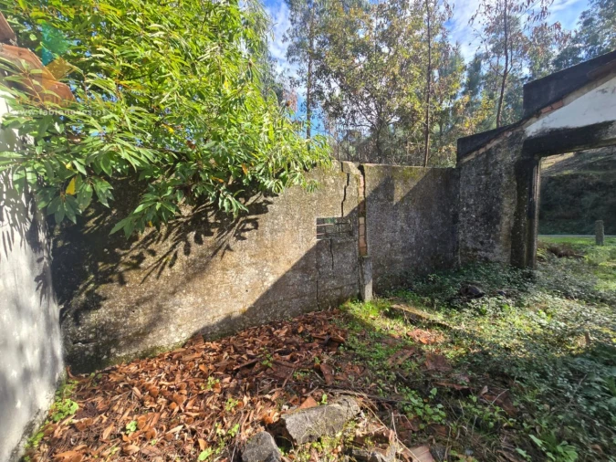 Moradia T1 para Venda em Vilela, São Cosme e São Damião e Sá Foto 5