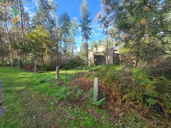 Moradia T1 para Venda em Vilela, São Cosme e São Damião e Sá Foto 10