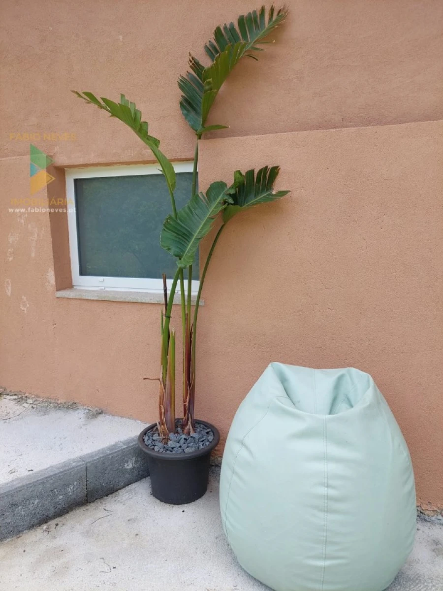 Moradia T2 para Venda em Refoios do Lima Foto 11