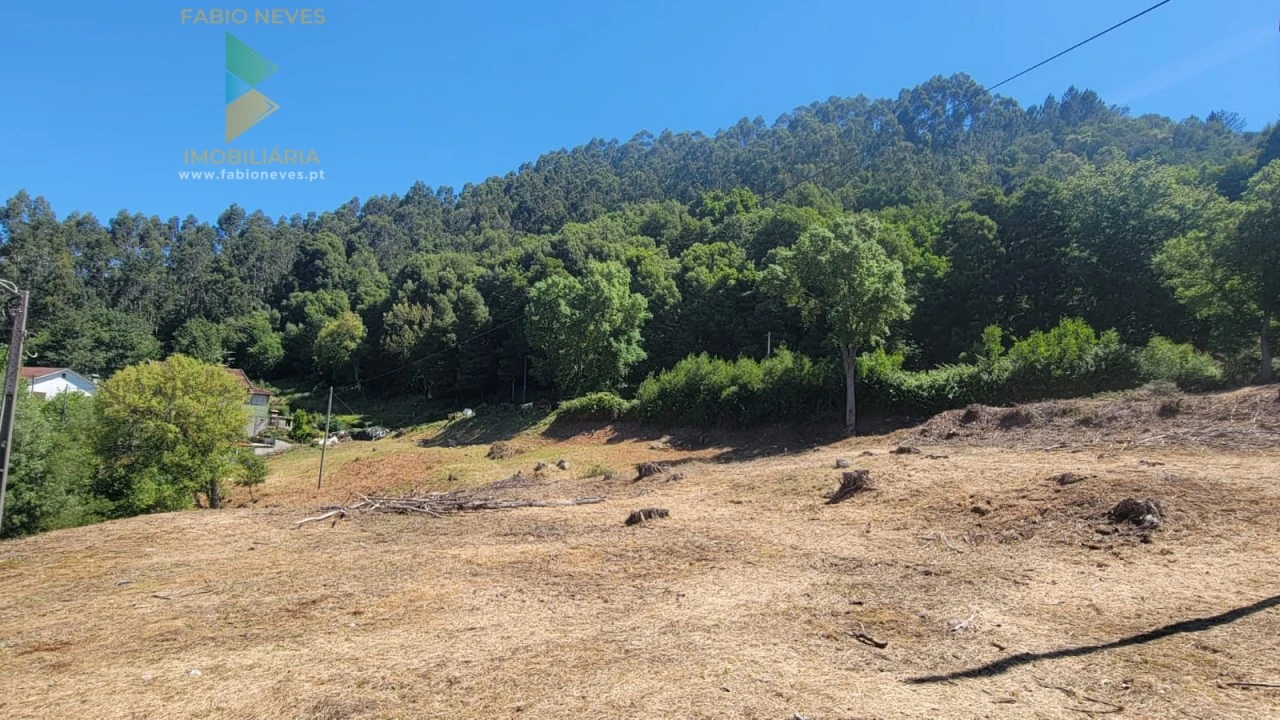 Terreno para Venda em Sa Foto 4