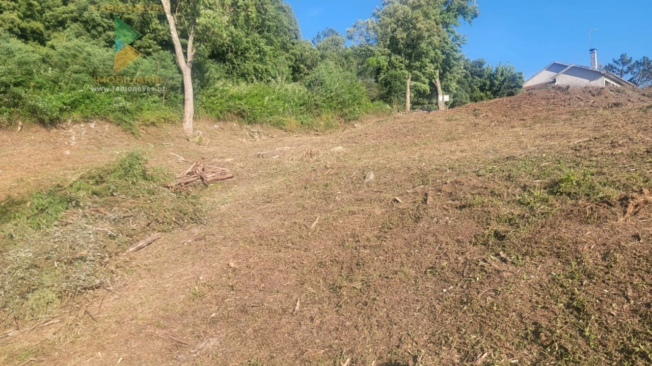 Terreno para Venda em Sa Foto 6