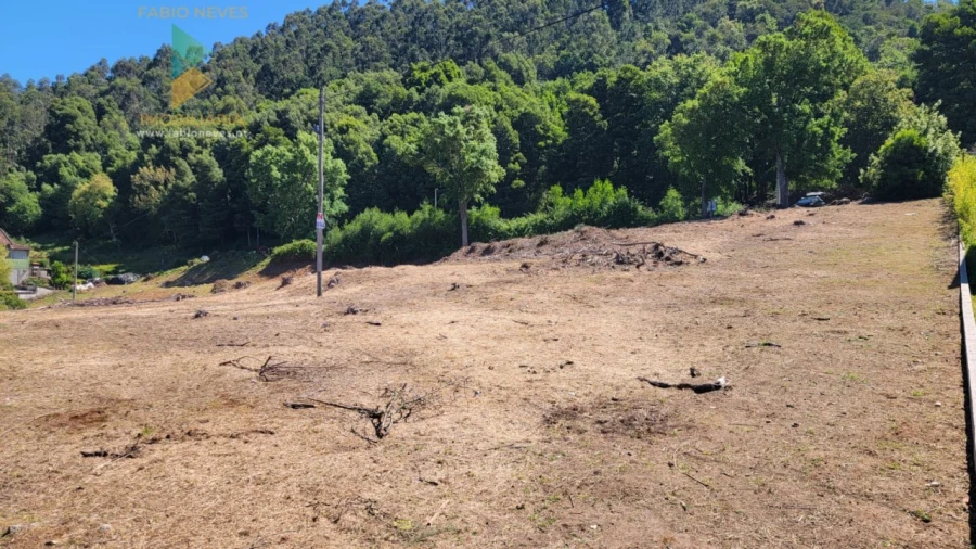 Terreno para Venda em Sa Foto 10