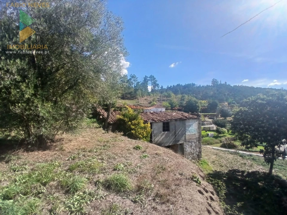 Terreno para Venda em Vilela, São Cosme e São Damião e Sá Foto 14