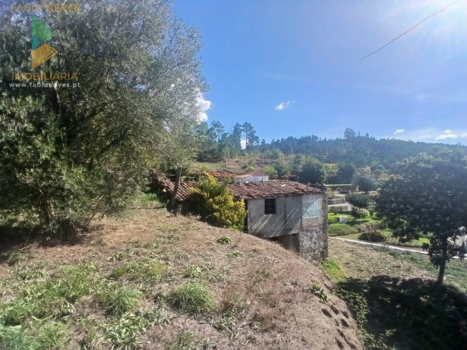 Terreno para Venda em Vilela, São Cosme e São Damião e Sá Foto 14