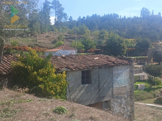 Terreno para Venda em Vilela, São Cosme e São Damião e Sá Foto 16