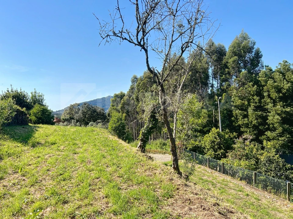 Terreno para Venda em Moledo e Cristelo Foto 5