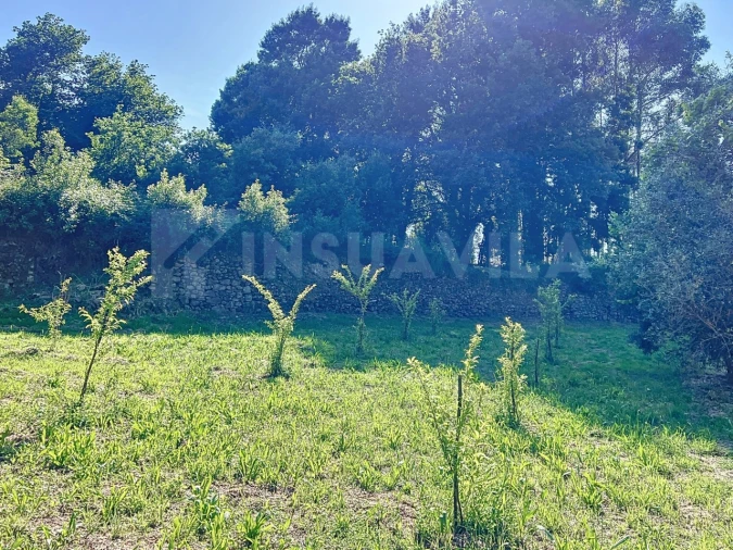 Terreno para Venda em Moledo e Cristelo Foto 2