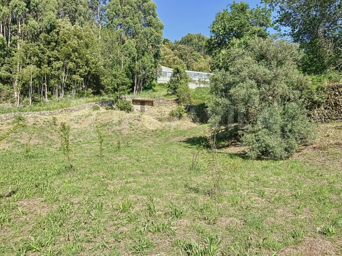 Terreno para Venda em Moledo e Cristelo Foto 4