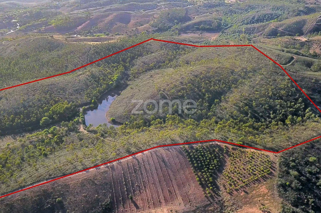 Terreno para Venda em Mexilhoeira Grande Foto 14