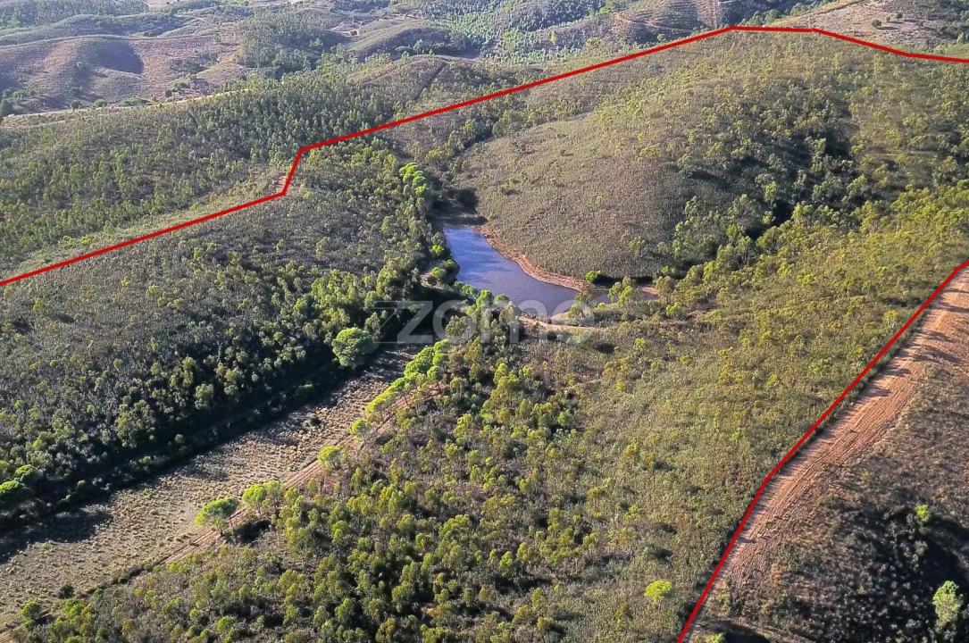 Terreno para Venda em Mexilhoeira Grande Foto 16