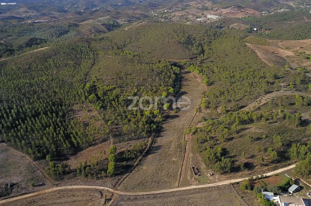 Terreno para Venda em Mexilhoeira Grande Foto 2