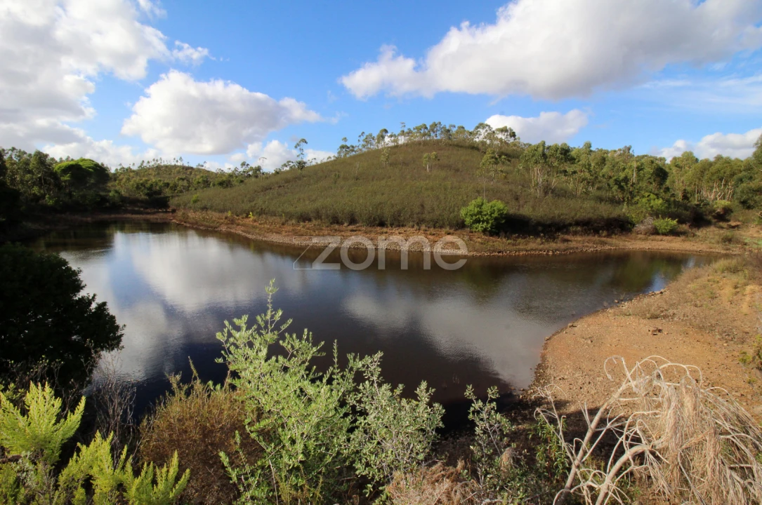 Terreno para Venda em Mexilhoeira Grande Foto 4