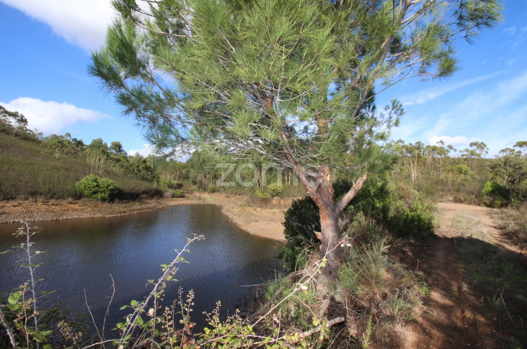 Terreno para Venda em Mexilhoeira Grande Foto 6