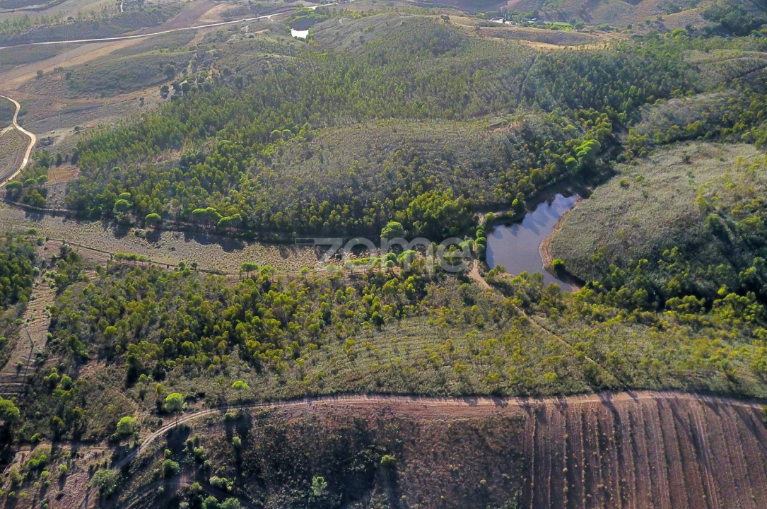 Terreno para Venda em Mexilhoeira Grande Foto 8