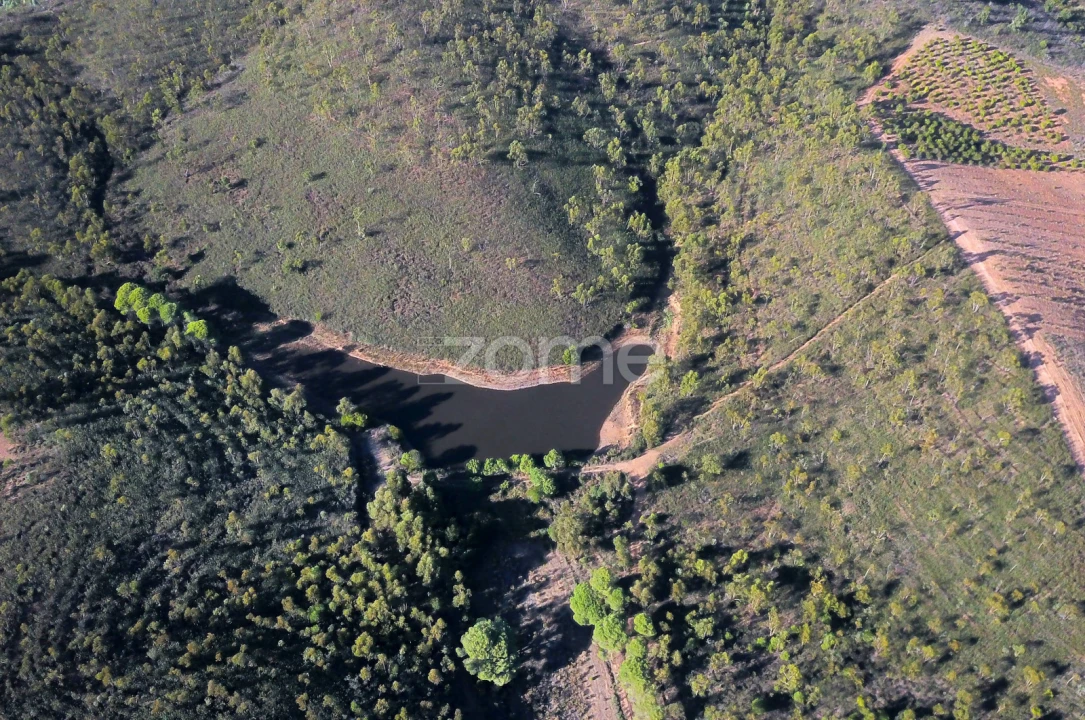 Terreno para Venda em Mexilhoeira Grande Foto 9