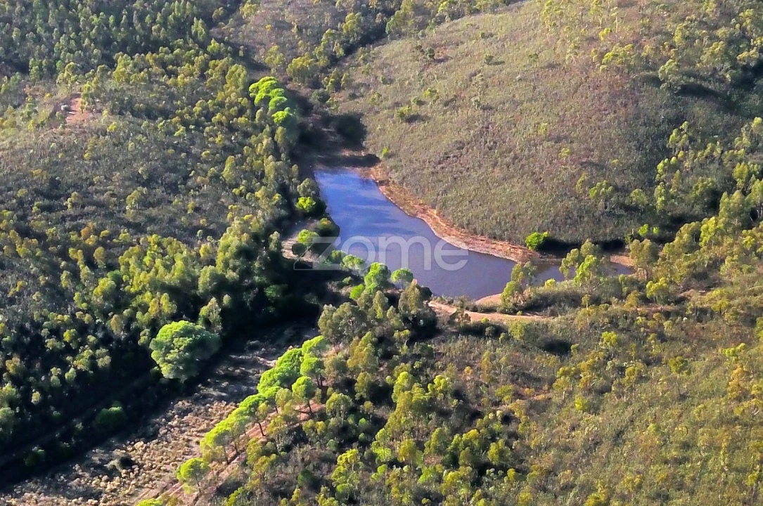 Terreno para Venda em Mexilhoeira Grande Foto 10