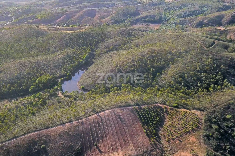 Terreno para Venda em Mexilhoeira Grande Foto 13