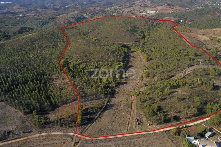 Terreno para Venda em Mexilhoeira Grande Foto 4