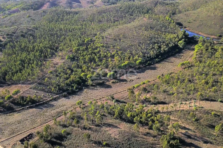 Terreno para Venda em Mexilhoeira Grande Foto 10