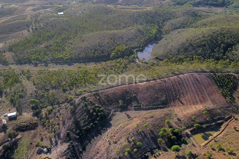 Terreno para Venda em Mexilhoeira Grande Foto 11