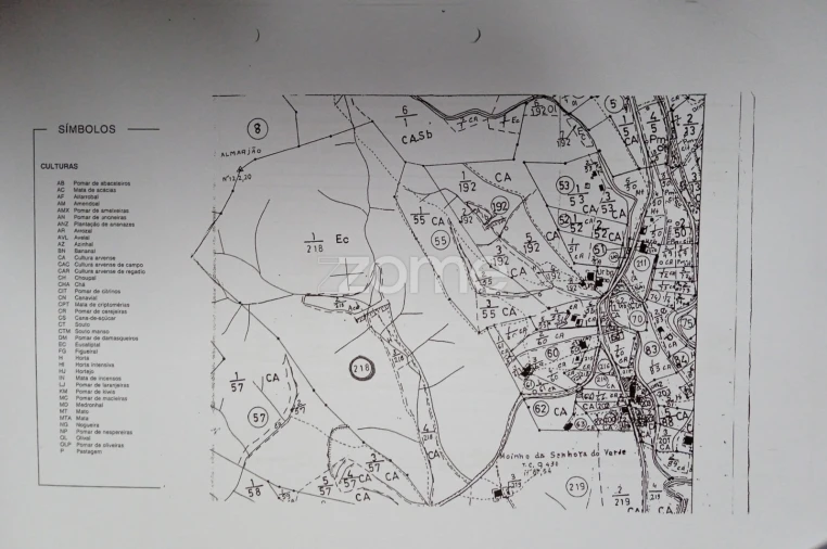 Terreno para Venda em Mexilhoeira Grande Foto 2