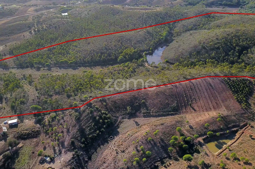 Terreno para Venda em Mexilhoeira Grande Foto 12