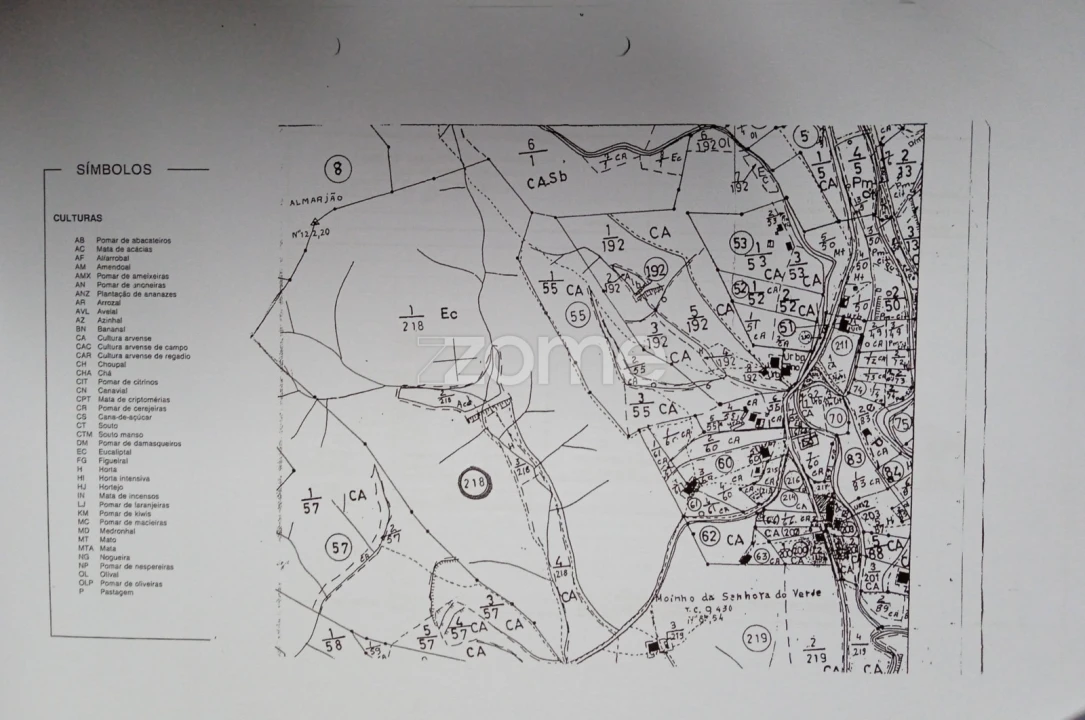 Terreno para Venda em Mexilhoeira Grande Foto 3