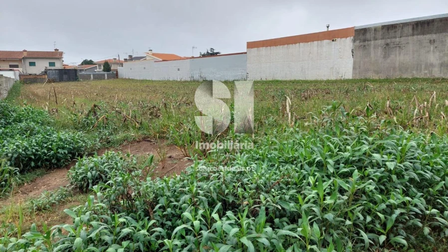 Terreno para Venda em Malta e Canidelo Foto 2